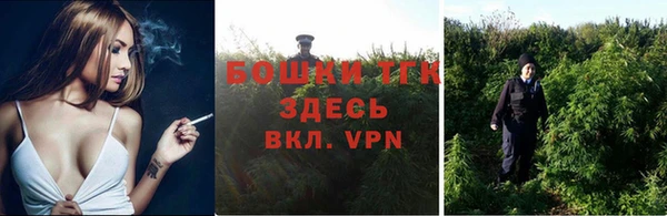 твердый Мегион