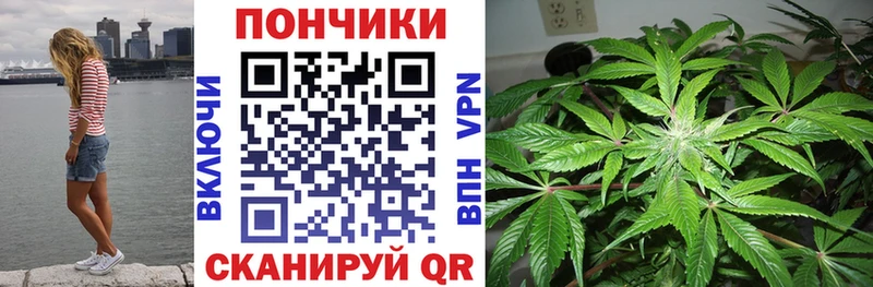 Каннабис AK-47 Ядрин